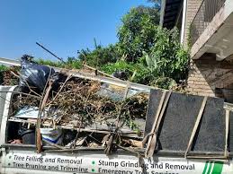 Best Yard Waste Removal  in Shelbyvle, IL